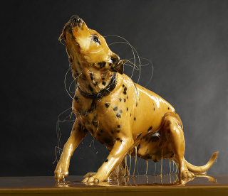 Illustration for article titled Amazing photos of naked people completely covered in honey (NSFW)